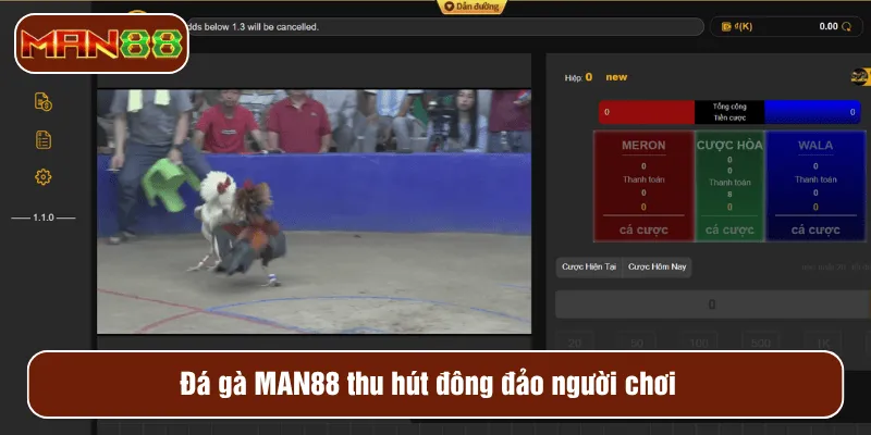 Đá gà MAN88 thu hút đông đảo người chơi