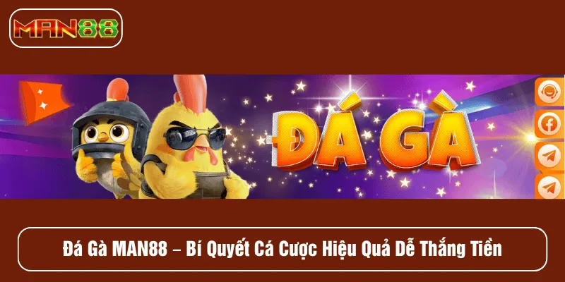 đá gà MAN88