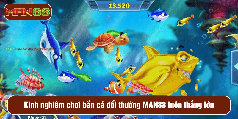 Kinh nghiệm chơi bắn cá đổi thưởng MAN88 luôn thắng lớn